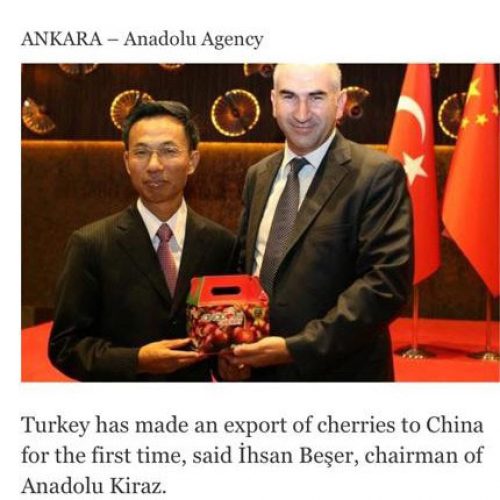 Turkey Makes First Export of Cherries to China